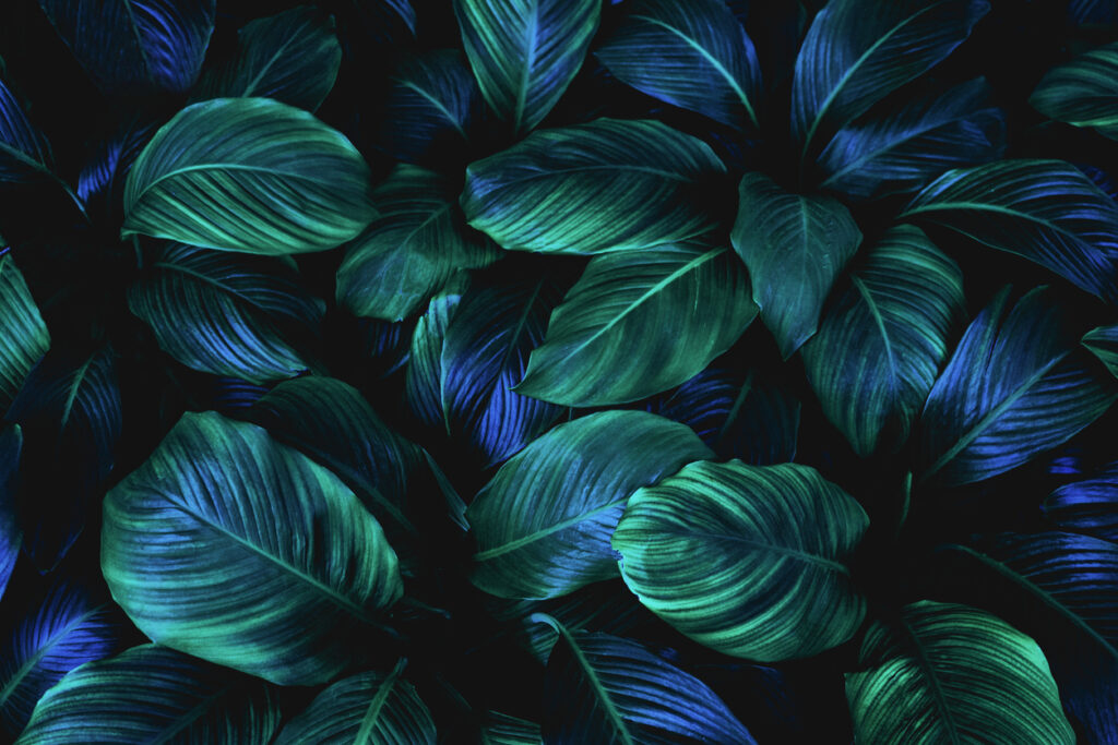 Supply Chains & The ESG Imperative: The Buck Stops with the C-Suite