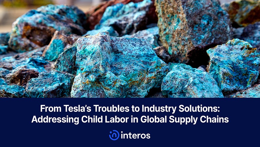 From Tesla’s Troubles to Industry Solutions: Addressing Child Labor in Global Supply Chains