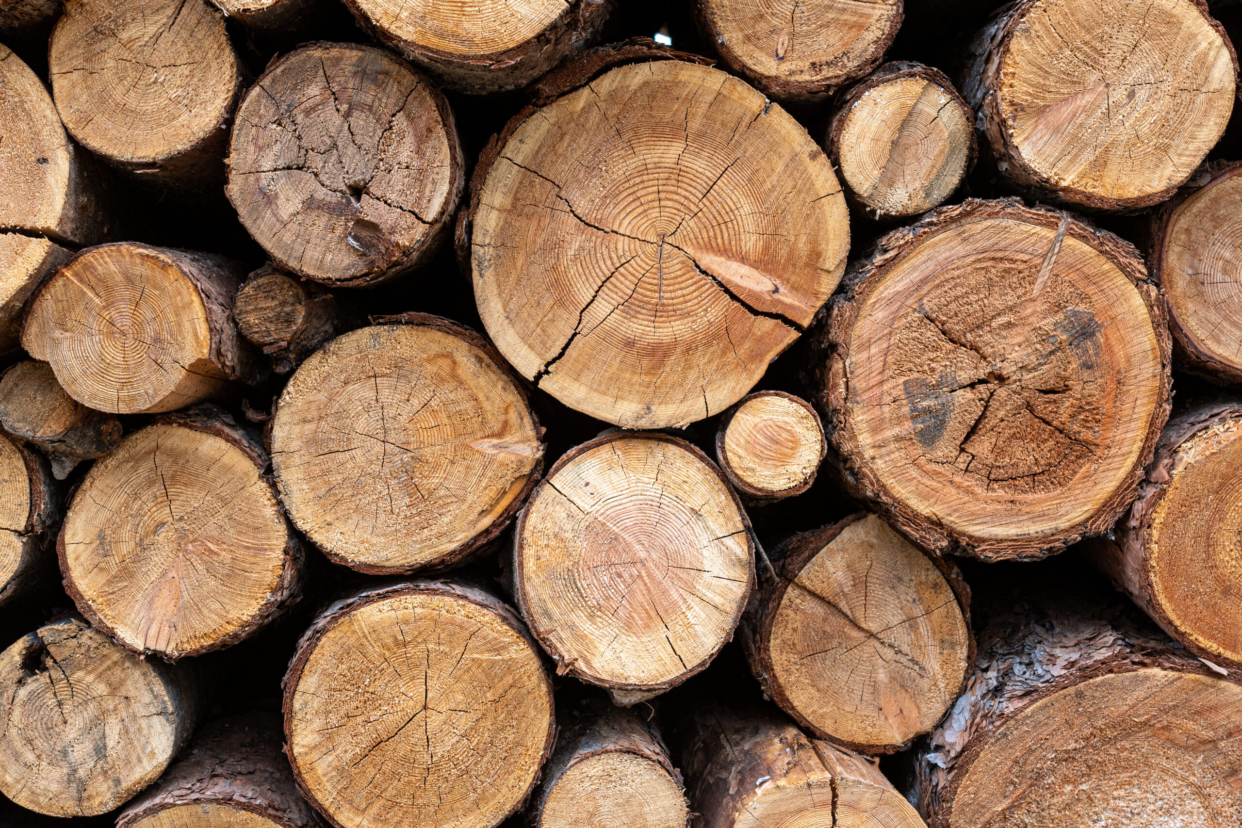 EU Deforestation Regulation Approaching: Fines for Non-Compliance are Steep
